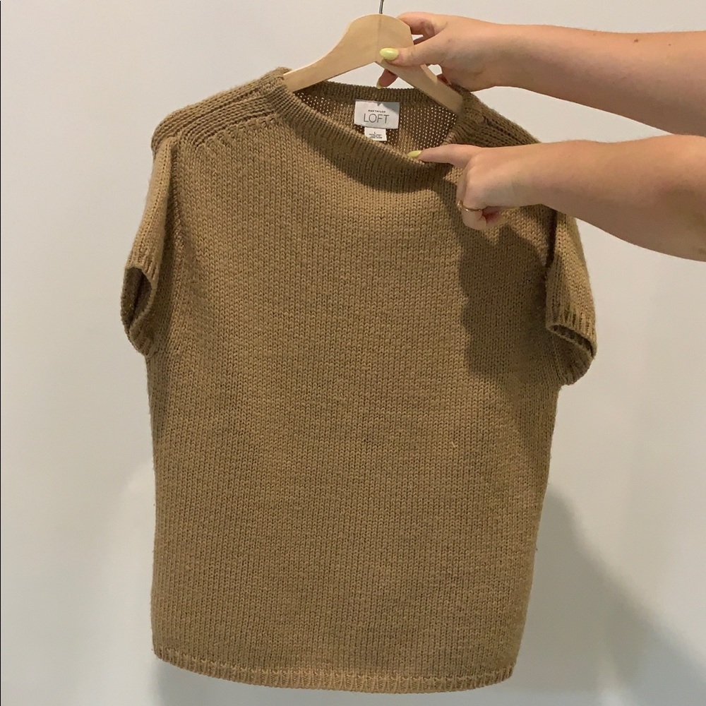 Ann Taylor Sweater